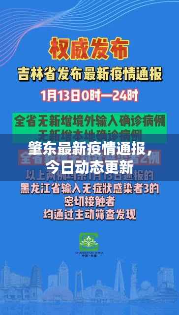 肇东最新疫情通报,今日动态更新