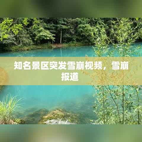 知名景区突发雪崩视频,雪崩报道