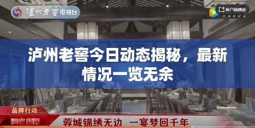 泸州老窖今日动态揭秘,最新情况一览无余