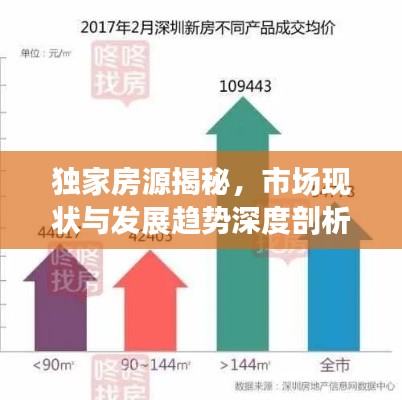 独家房源揭秘,市场现状与发展趋势深度剖析