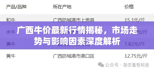 关于我们 第195页