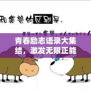 青春励志语录大集结,激发无限正能量!