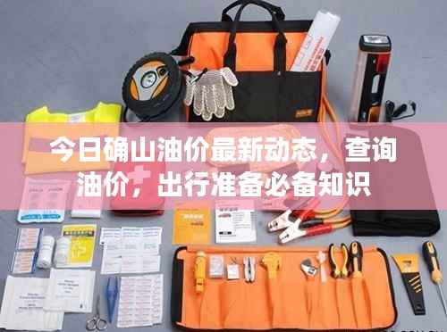 今日确山油价最新动态,查询油价,出行准备必备知识