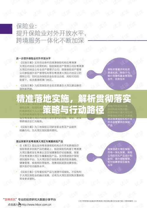 精准落地实施,解析贯彻落实策略与行动路径
