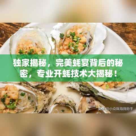 独家揭秘,完美蚝宴背后的秘密,专业开蚝技术大揭秘!