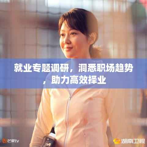 就业专题调研,洞悉职场趋势,助力高效择业