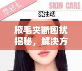 腋毛夹断困扰揭秘,解决方法全攻略