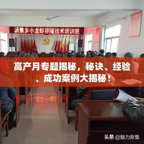 高产月专题揭秘,秘诀、经验、成功案例大揭秘!