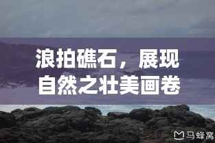 浪拍礁石,展现自然之壮美画卷