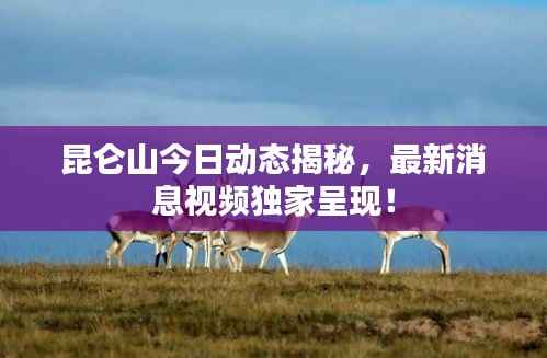 昆仑山今日动态揭秘,最新消息视频独家呈现!