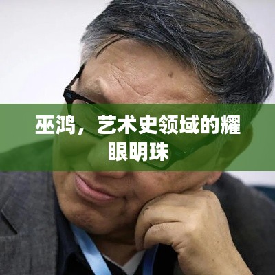 巫鸿,艺术史领域的耀眼明珠