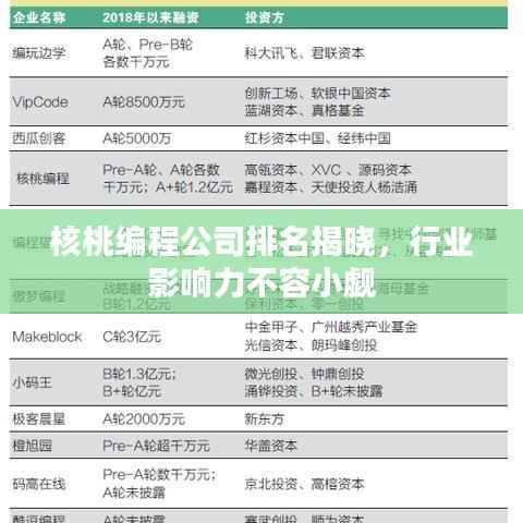 核桃编程公司排名揭晓，行业影响力不容小觑