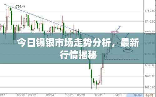 今日锡银市场走势分析,最新行情揭秘