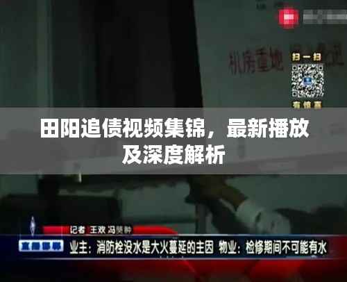 田阳追债视频集锦,最新播放及深度解析