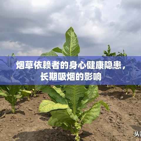 烟草依赖者的身心健康隐患,长期吸烟的影响