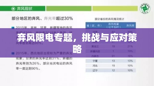 弃风限电专题,挑战与应对策略