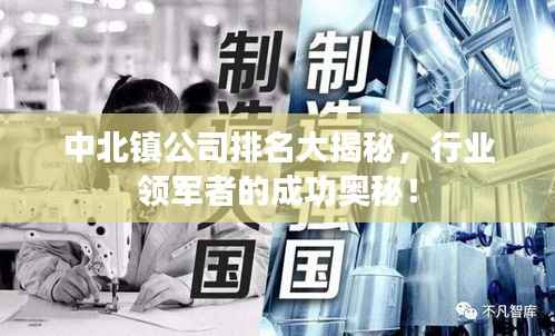 中北镇公司排名大揭秘,行业领军者的成功奥秘!