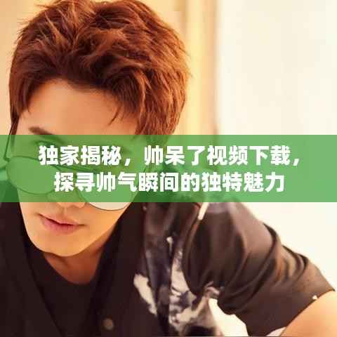 独家揭秘,帅呆了视频下载,探寻帅气瞬间的独特魅力