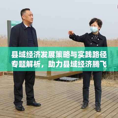 县域经济发展策略与实践路径专题解析,助力县域经济腾飞!