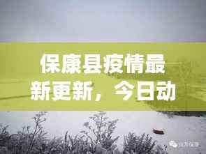 保康县疫情最新更新,今日动态消息速递