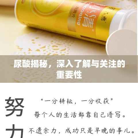 关于我们 第132页