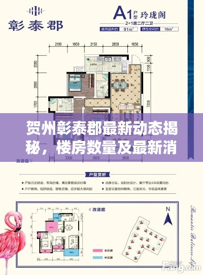 贺州彰泰郡最新动态揭秘,楼房数量及最新消息速递