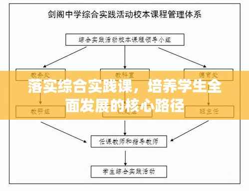 落实综合实践课，培养学生全面发展的核心路径