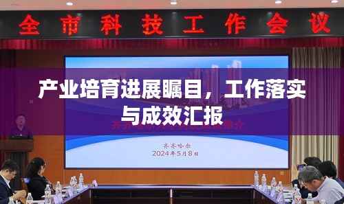 产业培育进展瞩目，工作落实与成效汇报