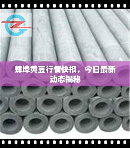 蚌埠黄豆行情快报,今日最新动态揭秘