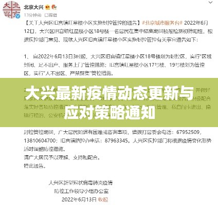 大兴最新疫情动态更新与应对策略通知