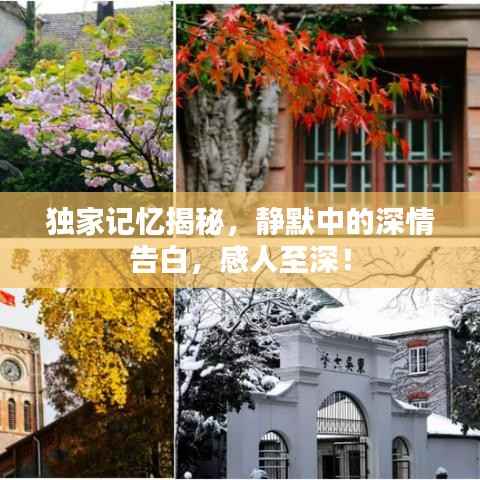 独家记忆揭秘，静默中的深情告白，感人至深！