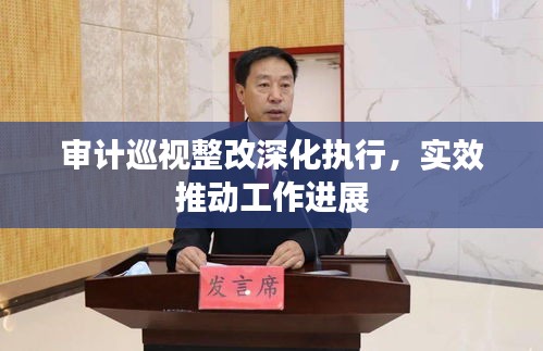 审计巡视整改深化执行，实效推动工作进展