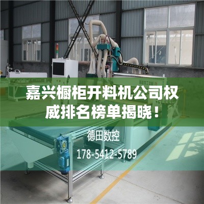 嘉兴橱柜开料机公司权威排名榜单揭晓！