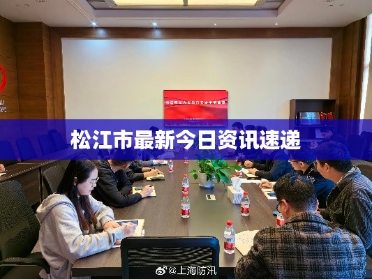 松江市最新今日资讯速递