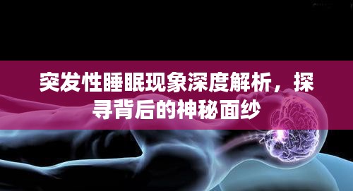 突发性睡眠现象深度解析,探寻背后的神秘面纱