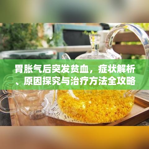 胃胀气后突发贫血，症状解析、原因探究与治疗方法全攻略