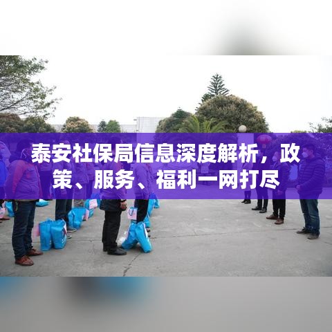 泰安社保局信息深度解析，政策、服务、福利一网打尽