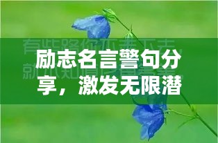 励志名言警句分享,激发无限潜能的励志语录!