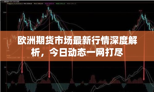 欧洲期货市场最新行情深度解析,今日动态一网打尽