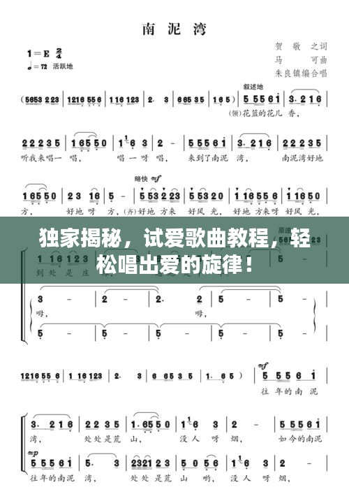 独家揭秘,试爱歌曲教程,轻松唱出爱的旋律!