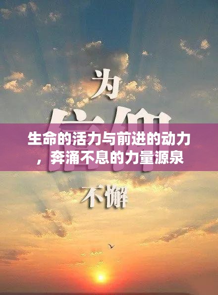 生命的活力与前进的动力,奔涌不息的力量源泉
