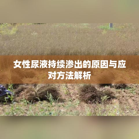 关于我们 第87页