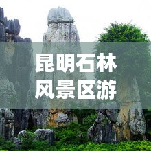 昆明石林风景区游玩攻略大全!