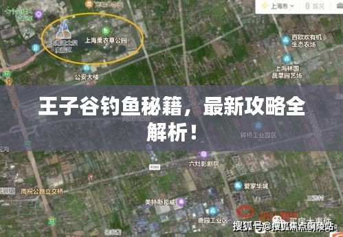 王子谷钓鱼秘籍,最新攻略全解析!