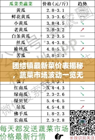 团结镇最新菜价表揭秘，蔬菜市场波动一览无余