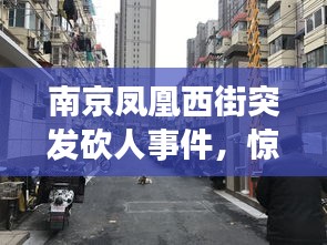 南京凤凰西街突发砍人事件,惊魂一刻,事件震惊全城!