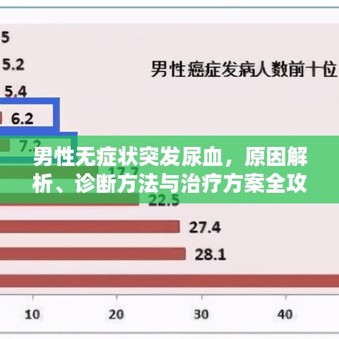 男性无症状突发尿血,原因解析、诊断方法与治疗方案全攻略